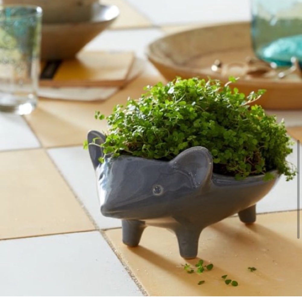 West Elm Ceramic Hedgehog Planter